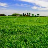 فروش 1827متر زمین کشاورزی با بر 16نیم بر آسفالت
