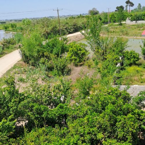 زمین مسکونی خوش قواره 300 متری