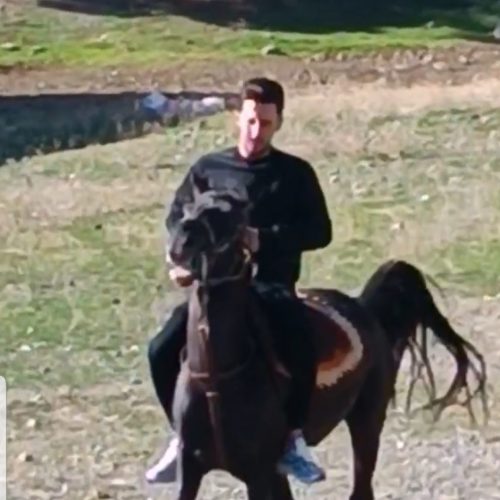 فروش اسب مادیان مشکی