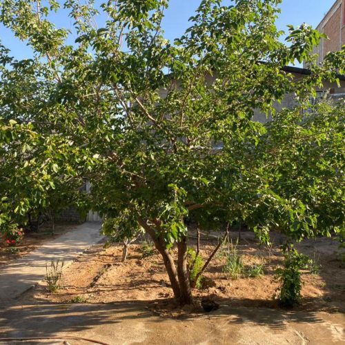 خانه ویلایی سنددار هیو