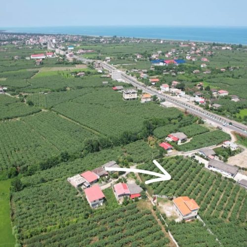 باغ کیوی
