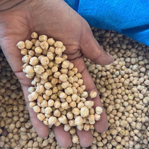 فروش حبوبات محلی گلستان