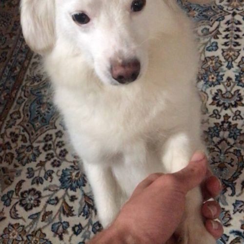 سالم و تمیز