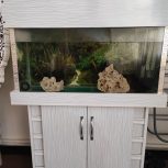 آکواریوم ماهی