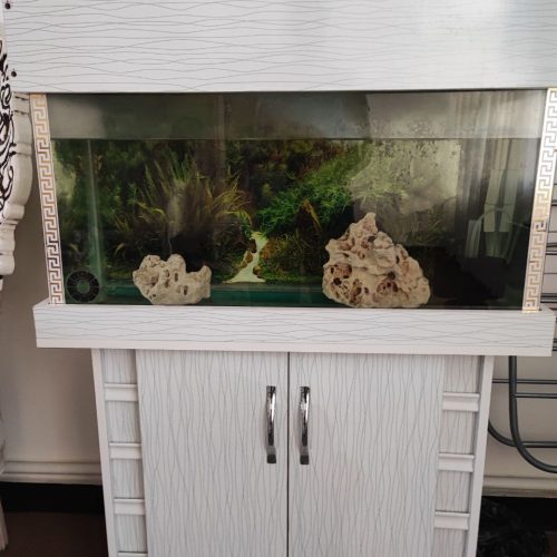 آکواریوم ماهی