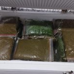 سبزی خورشتی