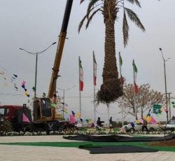 انواع نهال مرکبات ودرخت نخل