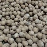 فروش گردو کاغذی درجه یک قیمت 200