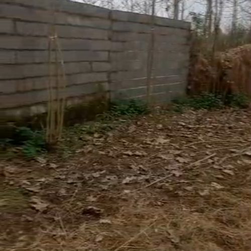 زمین باغی و شالیزار