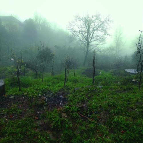 300متر‌زمین واقع در ورودیه دالخانی