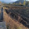 کشاورزی