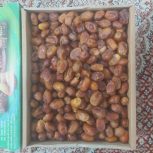 خرمای زاهدی یا کوکاب