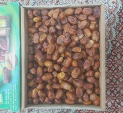 خرمای زاهدی یا کوکاب