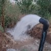 باغچه 250 متری
