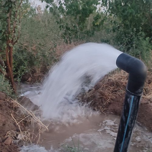 باغچه 250 متری