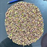 مغز پسته ی کل قوچی و اوحدی  درجه یک