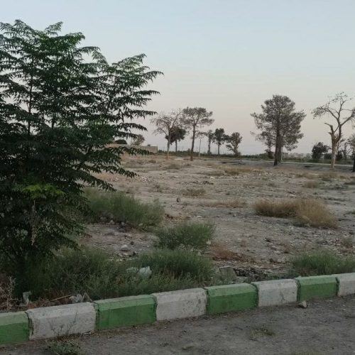 زمین قولنامه ای