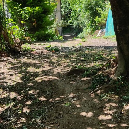 فروش خانه ویلایی روستایی به همراه 1000متر محوطه
