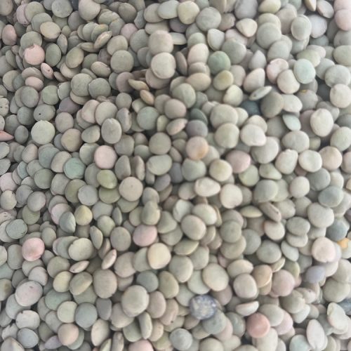 فروش حبوبات محلی گلستان