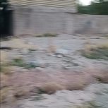 زمین 1600متری با درب و دیوار