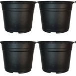 گلدان ژله ای مشکی در حد نو