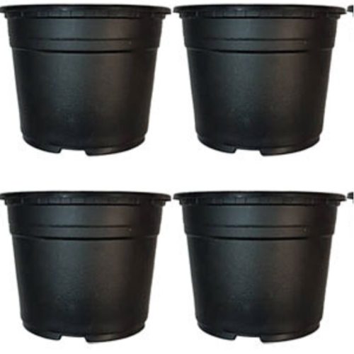 گلدان ژله ای مشکی در حد نو