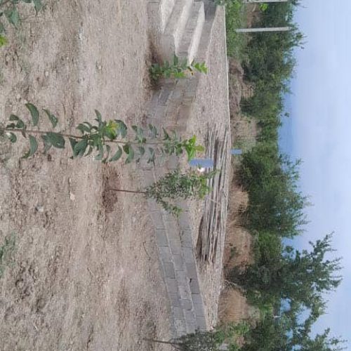 1300 متر زمین قواره بندی شده باغی