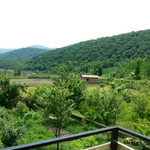فروش زمین