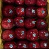 سیب درختی 30تن در سردخانه