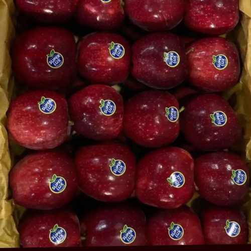 سیب درختی 30تن در سردخانه