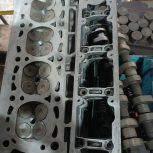 سرسیلند زانتیا