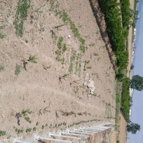 1300 متر زمین قواره بندی شده باغی