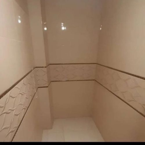 استاکاشی کاری