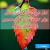 کسب و کار غیر حضوری با دستمزد روزانه