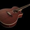 گیتار آکوستیک ibanez