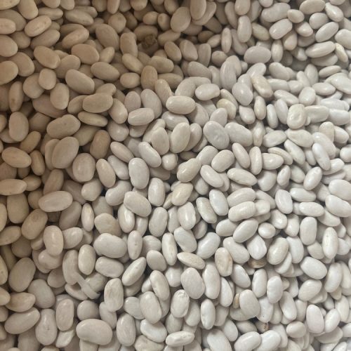 فروش حبوبات محلی گلستان