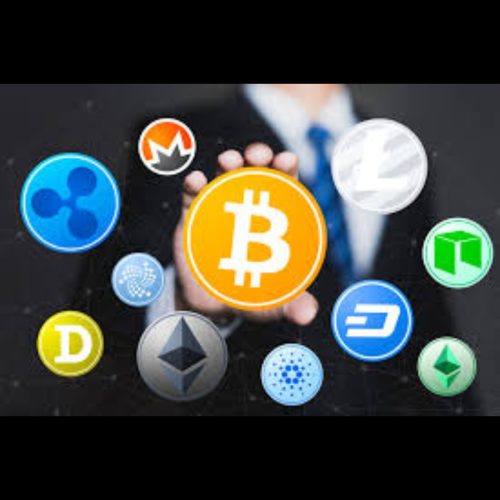 بازی همستر و ناتکوین