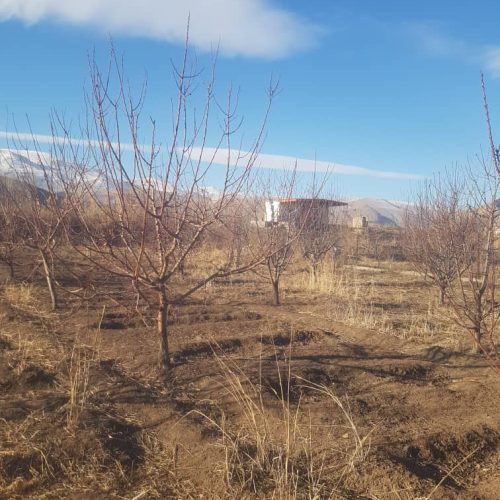 فروش باغ‌ با موقعیت مکانی عالی