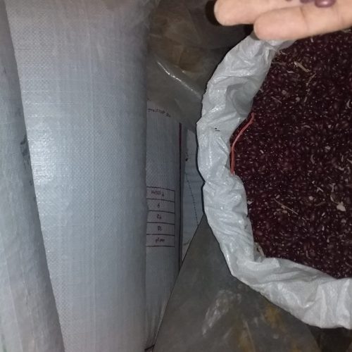 لوبیا قرمز