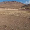 فروش زمین 160 سنددار