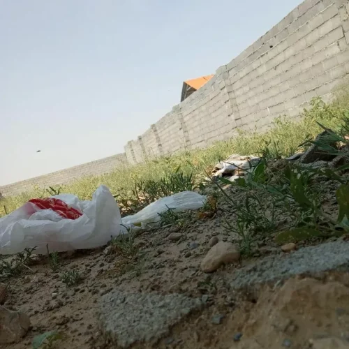 باغ ویلایی
