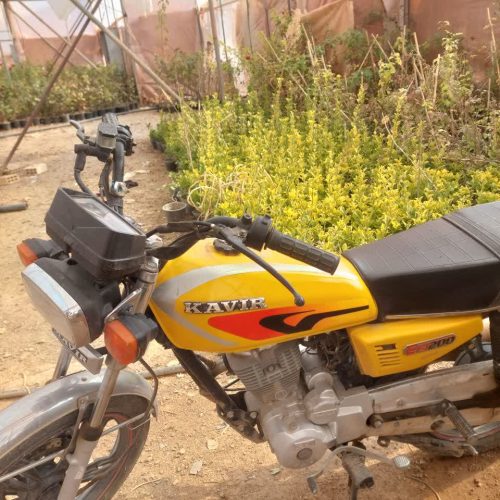 موتور سیکلت کویر مدل 99