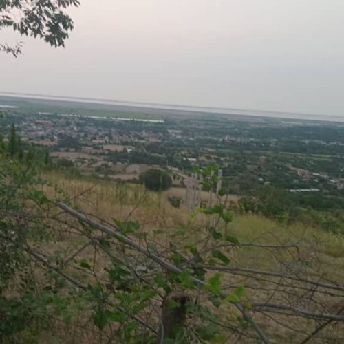 فروش زمین و باغ