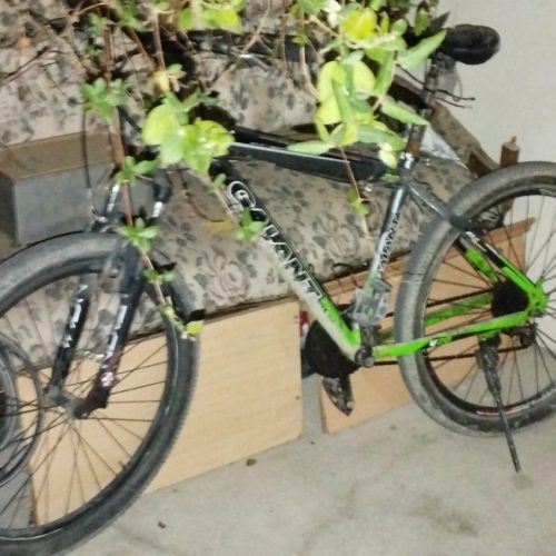 دوچره تمام حرفه ایی 27.5