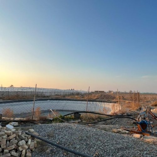 زمین کشاورزی