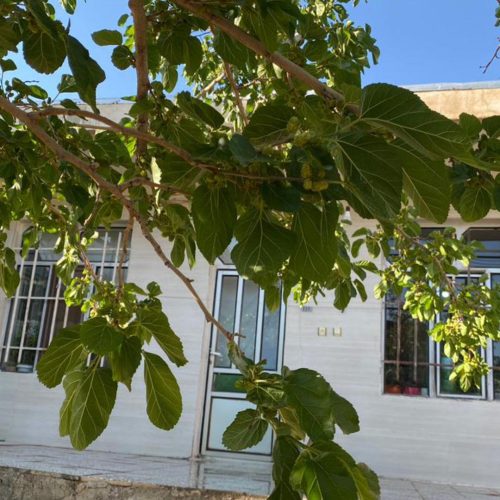 خاته ویلایی سنددار