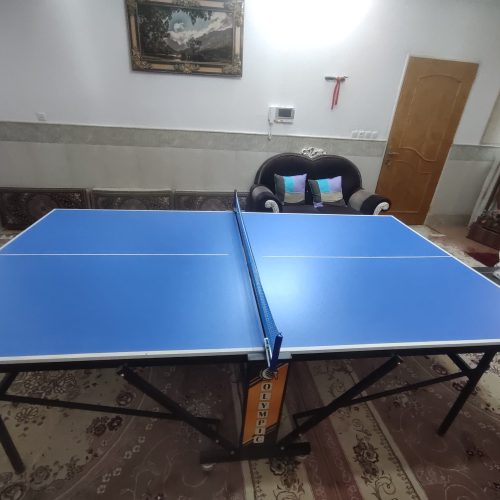 میز پینگ پنگ