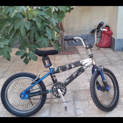 دوچرخه حرفه ای