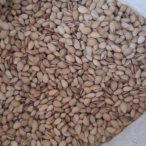 پسته مرغوب و درجه یک