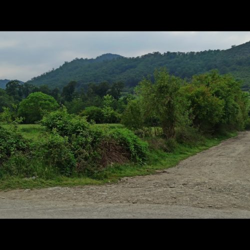 زمین باغی در بهترین شرایط آب و هوایی